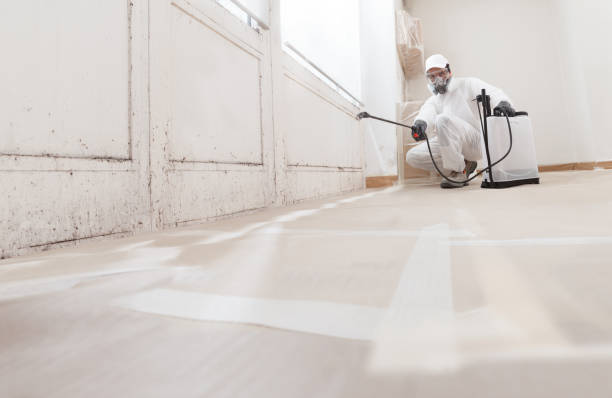 24/7 Emergency Commercial Mold Remediation experts in Huntington, VA