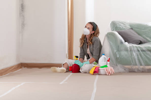Reliable Commercial Mold Remediation contractor in Huntington, VA by 24 Hour Mold Removal