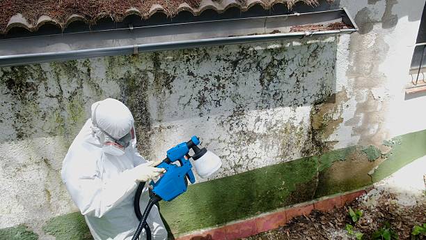 Top rated local Commercial Mold Remediation specialists in Huntington, VA